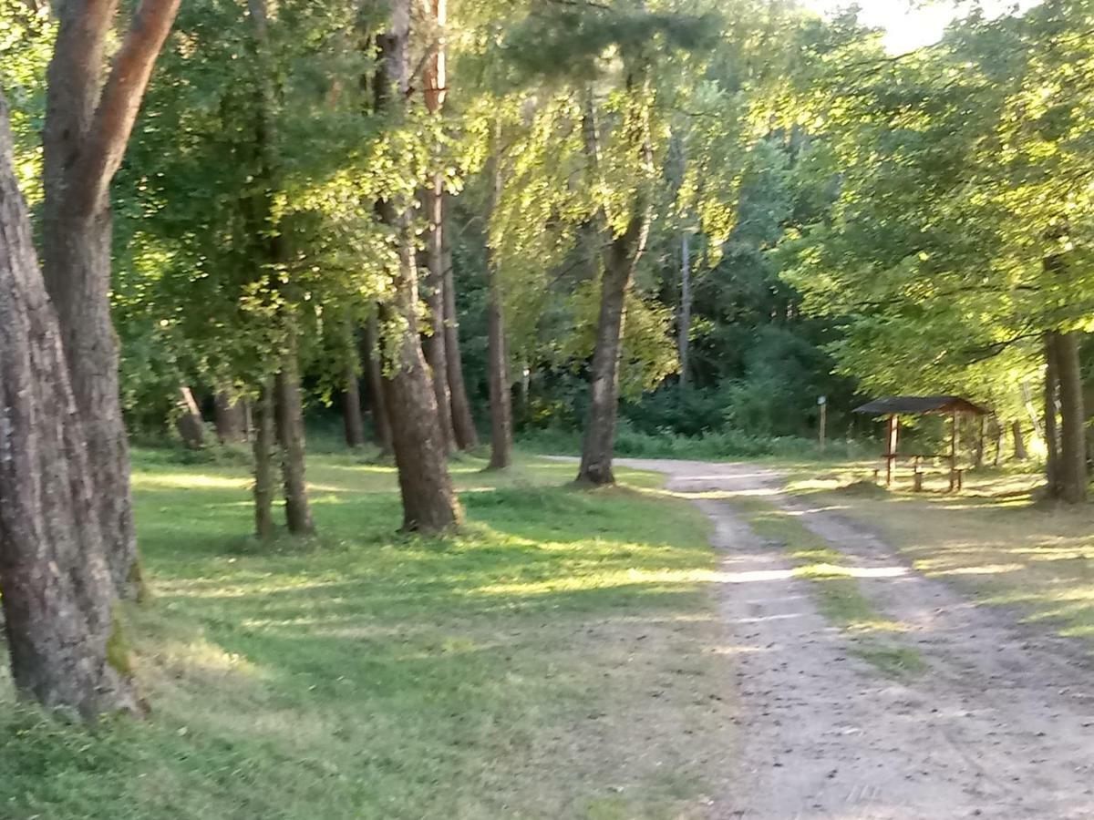 Mazurska Osada Apartment Kleszczewo  Luaran gambar